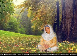 Sakhi Mata Kaulan Ji