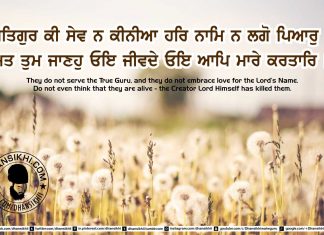 Gurbani Quotes 31