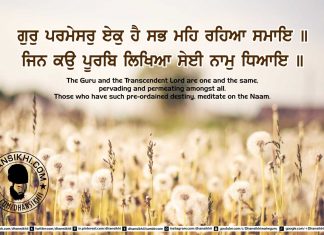 Gurbani Quotes 49