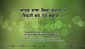 Sri Guru Granth Sahib Ji Arth Ang 9 post 15
