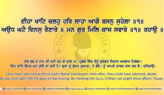 Sri Guru Granth Sahib Ji Arth Ang 13 post 13