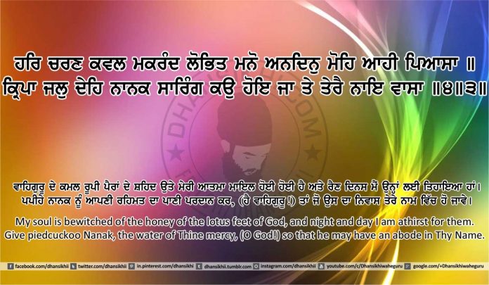 Sri Guru Granth Sahib Ji Arth Ang 13 post 6
