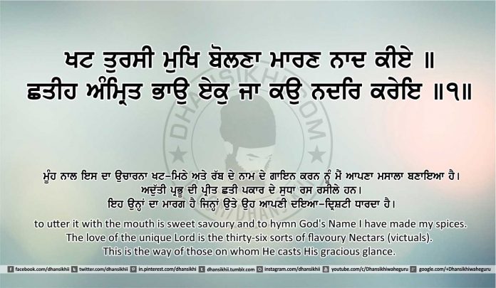 Sri Guru Granth Sahib Ji Arth Ang 16 post 12