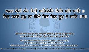 Sri Guru Granth Sahib Ji Arth Ang 18 post 19