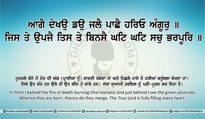 Sri Guru Granth Sahib Ji Arth Ang 20 post 5