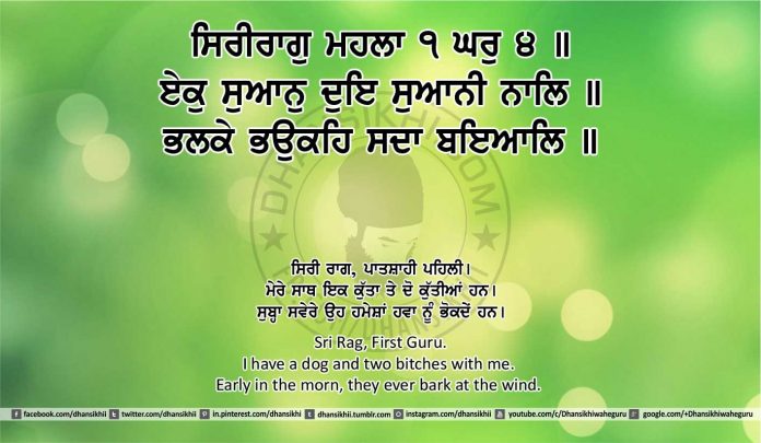 Sri Guru Granth Sahib Ji Arth Ang 24 post 11
