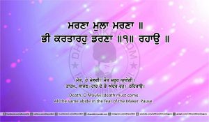 Sri Guru Granth Sahib Ji Arth Ang 24 post 7
