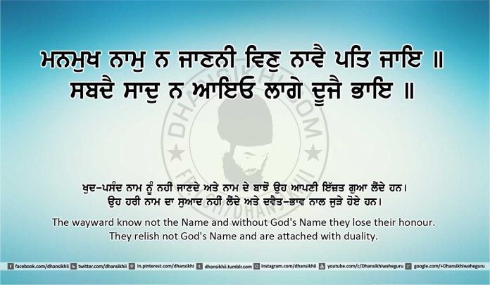 Sri Guru Granth Sahib Ji Arth Ang 28 post 8