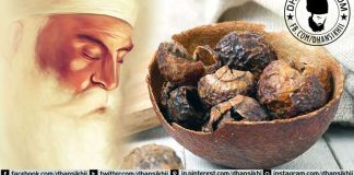 Saakhi “Ritthe Mitthe Karna”