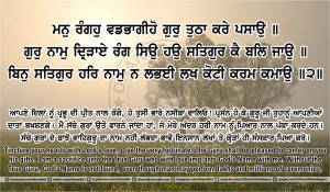 Sri Guru Granth Sahib Ji Arth Ang 40 post 12