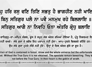 Ang 41 post 11 Sri Guru Granth Sahib Ji Arth Ang 41 post 11
