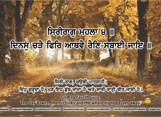 Ang 41 post 13 Sri Guru Granth Sahib Ji Arth Ang 41 post 13