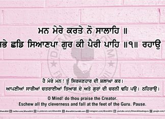 Ang 43 post 14 Sri Guru Granth Sahib Ji Arth Ang 43 post 14