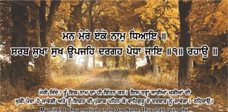 Ang 45 post 13 Sri Guru Granth Sahib Ji Arth Ang 45 post 13