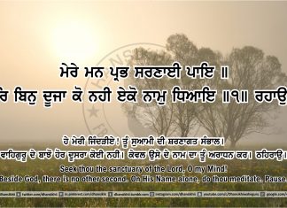 Ang 46 post 12 Sri Guru Granth Sahib Ji Arth Ang 46 post 12