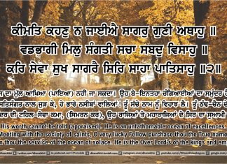 Ang 46 post 13 Sri Guru Granth Sahib Ji Arth Ang 46 post 13