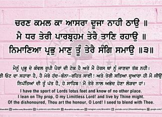 Ang 46 post 14 Sri Guru Granth Sahib Ji Arth Ang 46 post 14