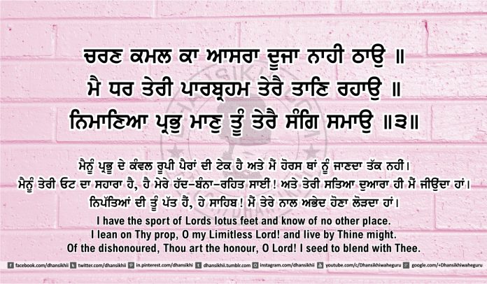 Sri Guru Granth Sahib Ji Arth Ang 46 post 14