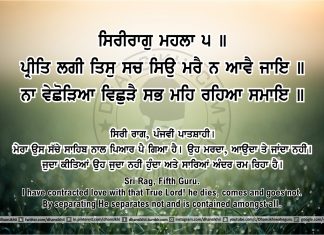 Ang 46 post 16 Sri Guru Granth Sahib Ji Arth Ang 46 post 16