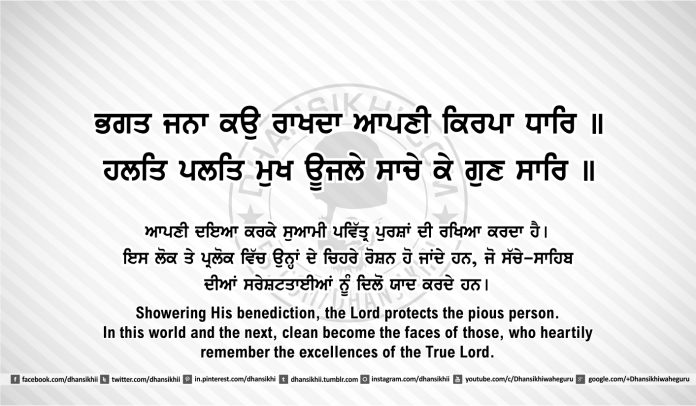 Sri Guru Granth Sahib Ji Arth Ang 46 post 8