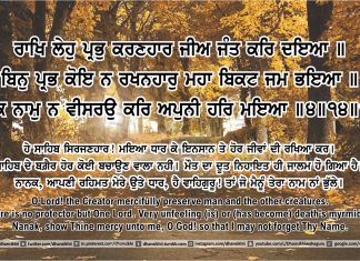 Ang 47 post 13 Sri Guru Granth Sahib Ji Arth Ang 47 post 13