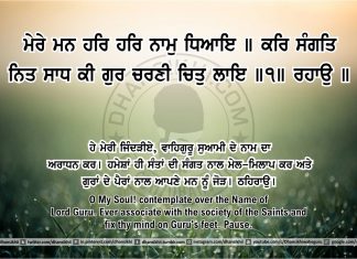 Ang 47 post 16 Sri Guru Granth Sahib Ji Arth Ang 47 post 16