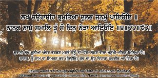 Ang 50 post 13 Sri Guru Granth Sahib Ji Arth Ang 50 post 13