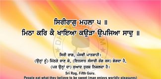 Ang 50 post 3 Sri Guru Granth Sahib Ji Arth Ang 50 post 3