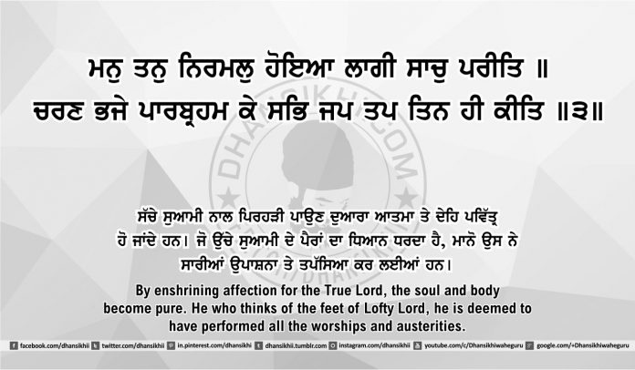 Sri Guru Granth Sahib Ji Arth Ang 48 post 11
