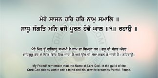 Ang 52 post 10 Sri Guru Granth Sahib Ji Arth Ang 52 post 10