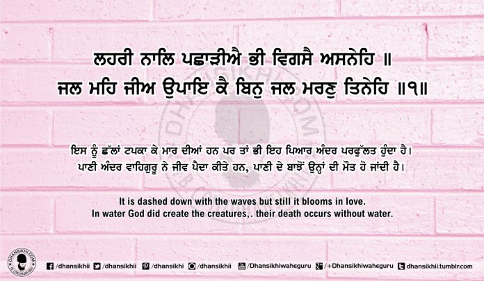 Sri Guru Granth Sahib Ji Arth Ang 59 post 15