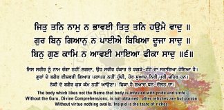 Ang 61 Post 13 Sri Guru Granth SahibJi Arth Ang 61 Post 13