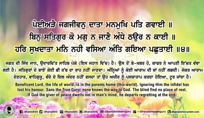 Sri Guru Granth Sahib Ji Arth Ang 65 Post 2