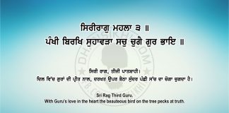 Ang 66 Post 1 Sri Guru Granth Sahib Ji Arth Ang 66 Post 1
