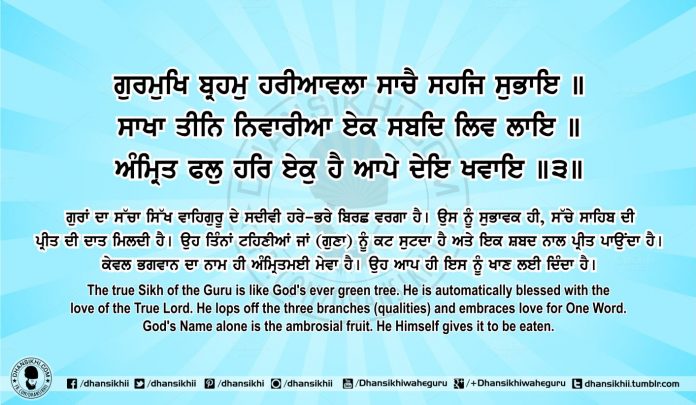 Sri Guru Granth Sahib Ji Arth Ang 66 Post 5