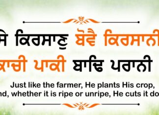 Gurbani Quotes Jaise Kirsan Bove Gurbani Quotes - Jaisae Kirasaan Bovai Kirasaanee