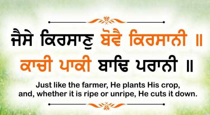 Gurbani Quotes - Jaisae Kirasaan Bovai Kirasaanee