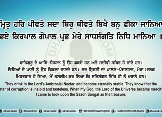 Sri Guru Granth Sahib Ji Arth Ang 81 Post 1 Sri Guru Granth Sahib Ji Arth Ang 81 Post 1