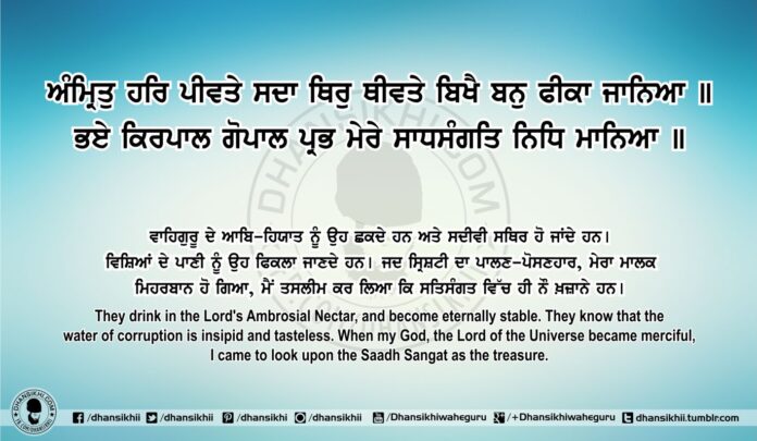Sri Guru Granth Sahib Ji Arth Ang 81 Post 1