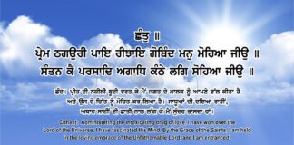 Sri Guru Granth Sahib Ji Arth Ang 81 Post 4 Sri Guru Granth Sahib Ji Arth Ang 81 Post 4