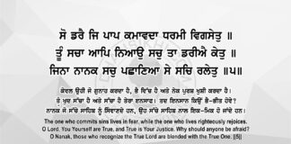Sri Guru Granth Sahib Ji Arth Ang 84 Post 11