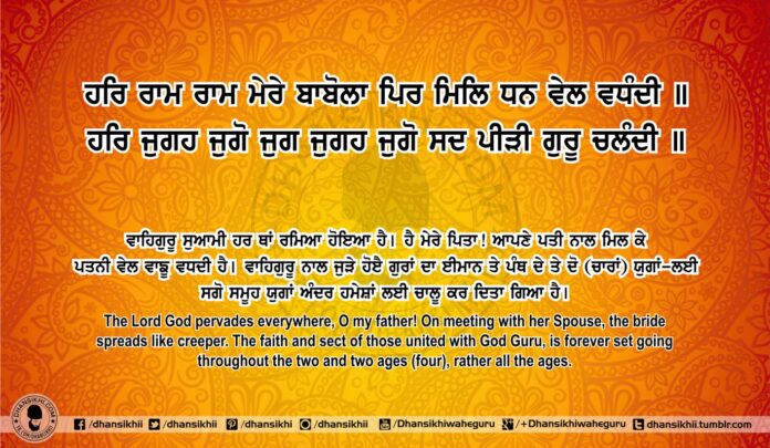 Sri Guru Granth Sahib Ji Arth Ang 79 Post 3